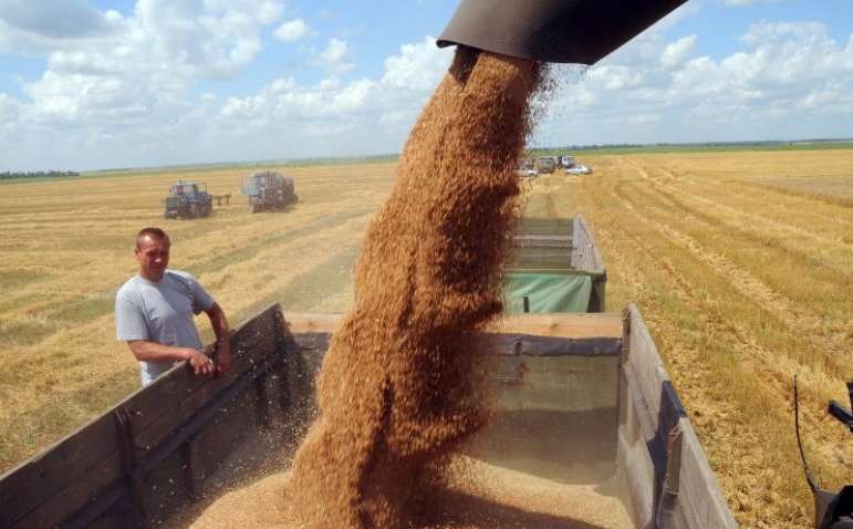 Украина нарастила экспорт зерновых до 3,7 млн тонн