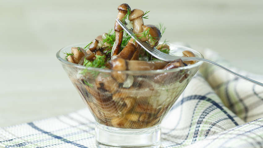 Грибы на зиму: как замариновать опята Грибы на зиму: как замариновать опята