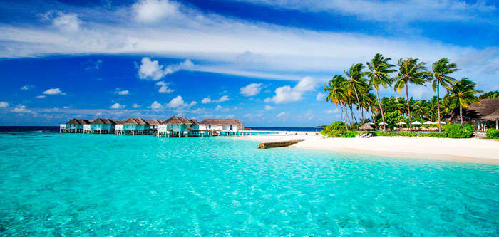 Безкарність українських можновладців: хабарі та відпочинок на фешенебельних курортах під час війни Безкарність українських можновладців: хабарі та відпочинок на фешенебельних курортах під час війни