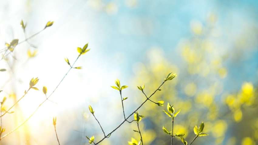 Какой церковный праздник отмечается 10 мая и что нельзя делать