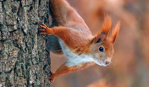 Синоптик розповіла, коли в Україну прийде похолодання