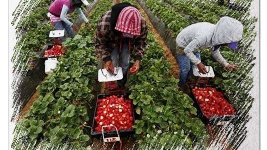 Финляндия примет девять тысяч украинских работников