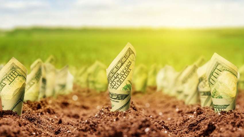 Продаж землі в Україні: в якому регіоні найдорожча сільськогосподарська земля Продаж землі в Україні: в якому регіоні найдорожча сільськогосподарська земля