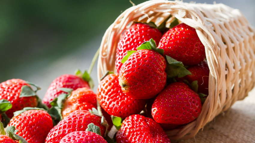 Дієтологи попередили про небезпеку ранньої полуниці