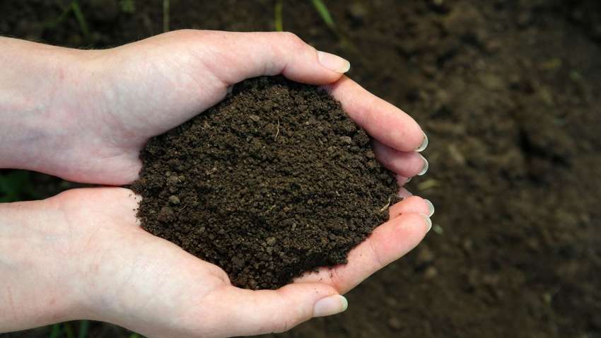 Открытие рынка земли поддерживают меньше 25% украинцев