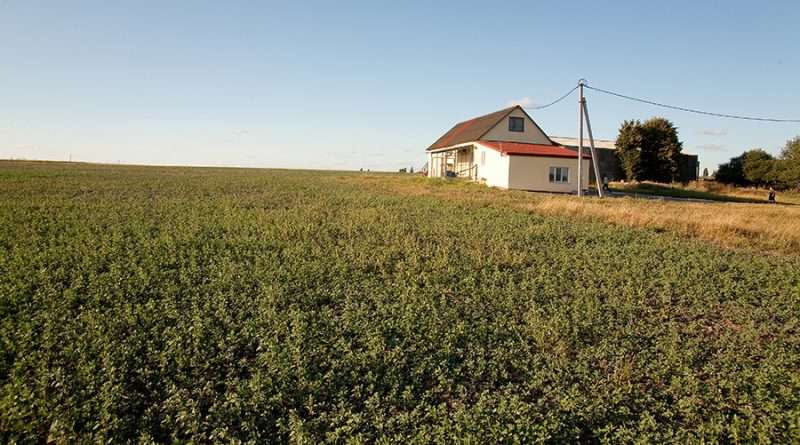 Для малых фермеров создадут Фонд гарантирования кредитов