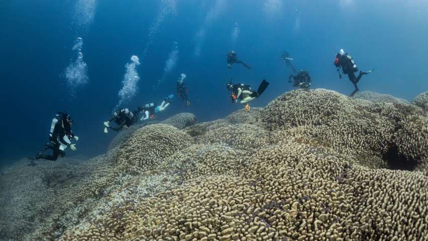Вчені вважали, що пірнають до затонулого корабля: їх дуже здивувало те, що вони побачили Вчені вважали, що пірнають до затонулого корабля: їх дуже здивувало те, що вони побачили