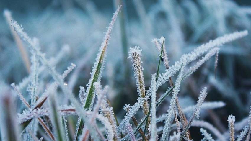 Украинцев предупредили о заморозках: где и когда ожидать  Украинцев предупредили о заморозках: где и когда ожидать