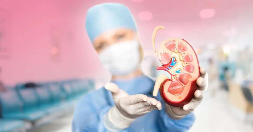 Жена уговорила мужа продать почку, украла деньги и сбежала с любовником Жена уговорила мужа продать почку, украла деньги и сбежала с любовником