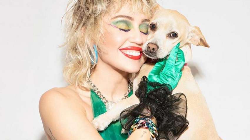 Майли Сайрус рассказала о своих привилегиях на карантине