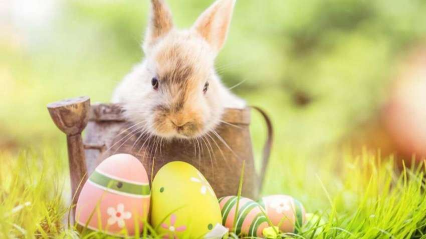 Святкові вихідні в Україні: скільки будемо відпочивати в травні