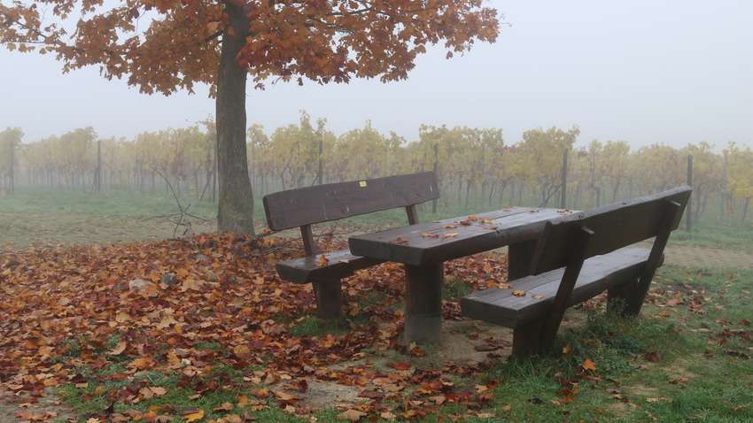 Прогноз погоди: в Україні різко похолодає Прогноз погоди: в Україні різко похолодає