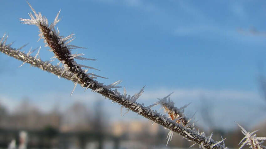 Церковный праздник 27 февраля: какие три запрета обязательно нужно соблюсти