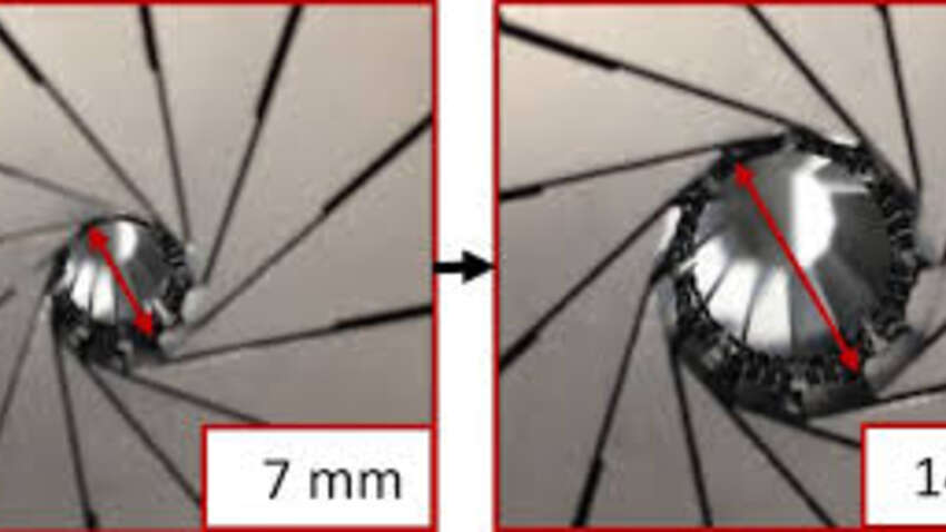 Клапан, растущий вместе с сердцем: прорыв для младенцев с пороками сердца уже испытали на животных