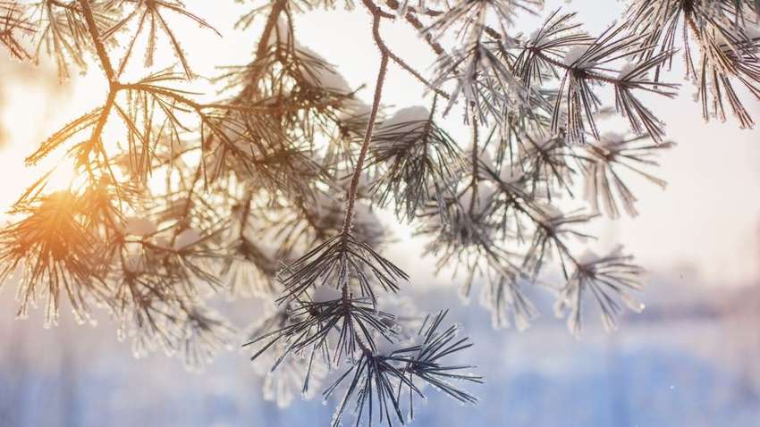 Синоптики розповіли, якою буде погода в Україні сьогодні