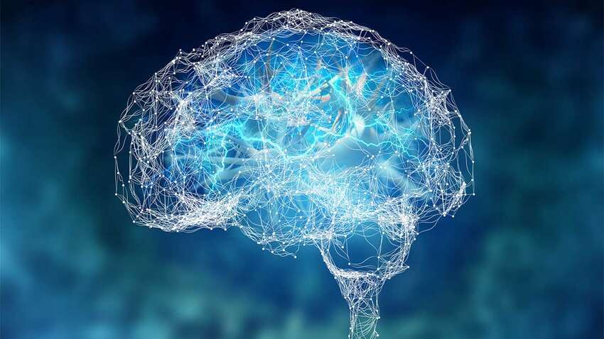 Спростовано найбільший міф про те, у якому віці люди починають «тупішати» Спростовано найбільший міф про те, у якому віці люди починають «тупішати»