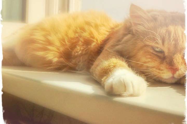 В Украину идет аномальная жара В Украину идет аномальная жара