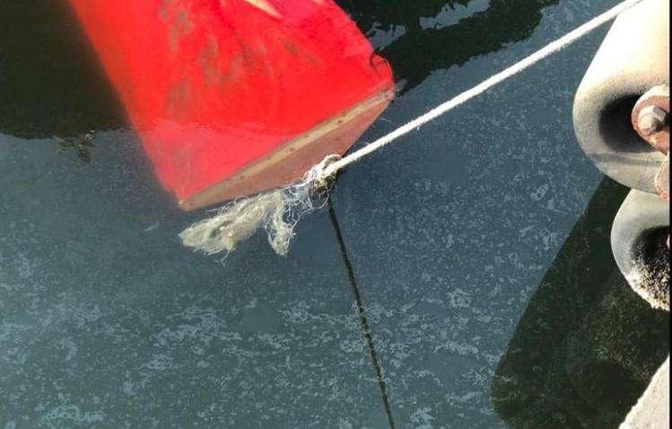 У Миколаєві в море потрапили літри соняшникової олії: подробиці У Миколаєві в море потрапили літри соняшникової олії: подробиці