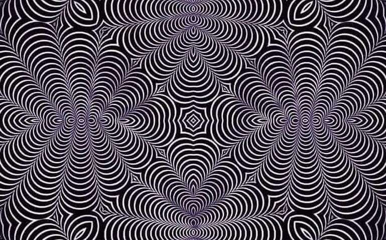 Яку тварину ви бачите: зображення покаже, як працює ваш мозок