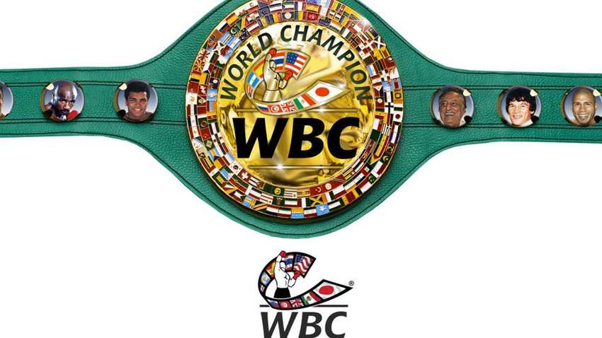 Україна офіційно затвердила WBC у списку міжнародних спортивних федерацій