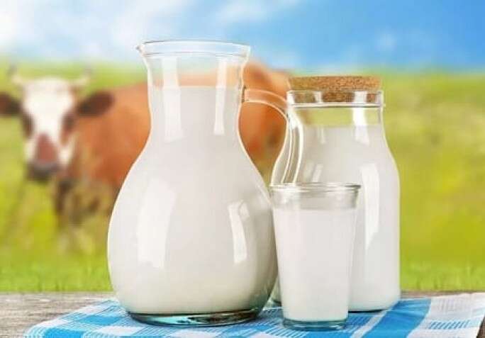 Цей популярний молочний продукт прискорює старіння: відкриття вчених