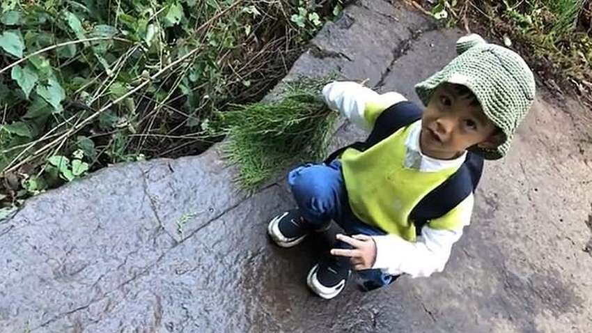 Ценная находка: 5-летний мальчик обнаружил в деревне следы динозавра