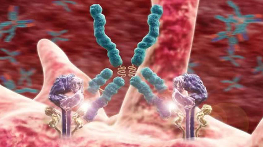 Вчені знайшли новий підхід до лікування аутоімунних запальних захворювань