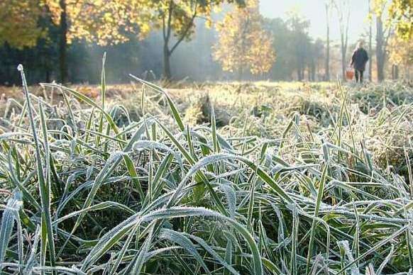 Когда в Украину придут сильные морозы