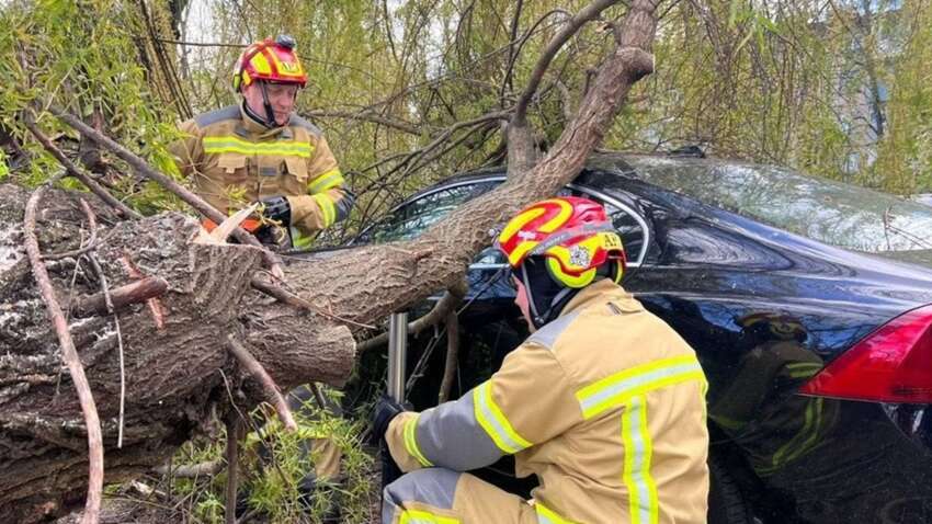 Три области Украины в тотальном хаосе: невиданная стихия повлекла за собой жертвы и разрушения  