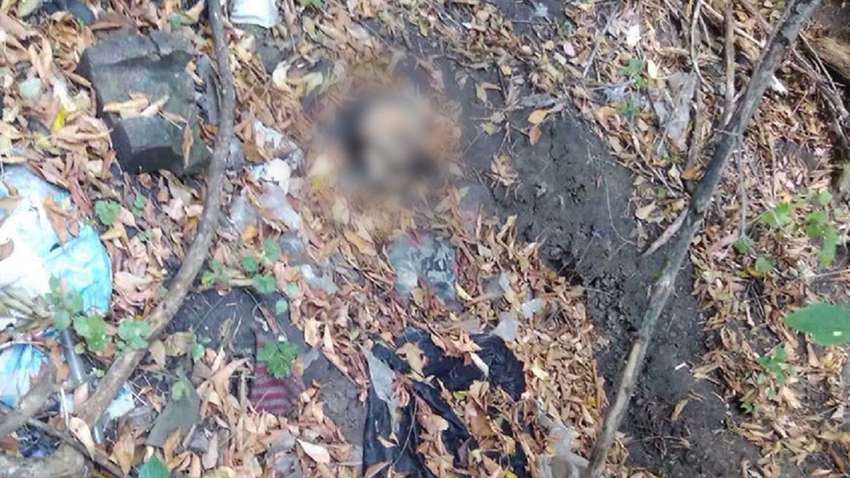 В Днепропетровской области на трассе нашли скелет женщины: подробности (ФОТО)