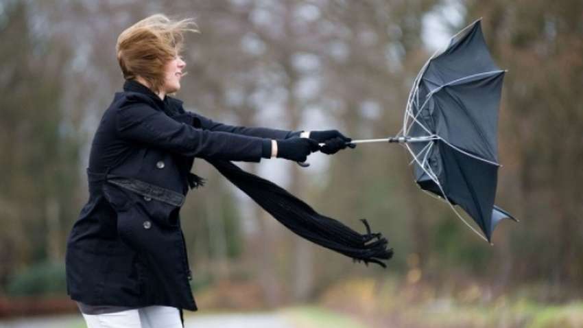 Украину накроют штормовые ветры: синоптики сообщили когда ждать непогоду