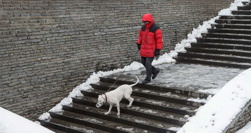 Погода ухудшается: в Украине прогнозируют первый серьезный снег