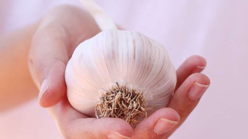 Лікарі розвіяли 5 міфів про часник, у які досі всі вірять