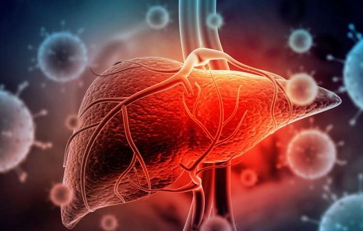 Вирусный гепатит С: эпидемия в Украине, симптомы и как уберечься Вирусный гепатит С: эпидемия в Украине, симптомы и как уберечься