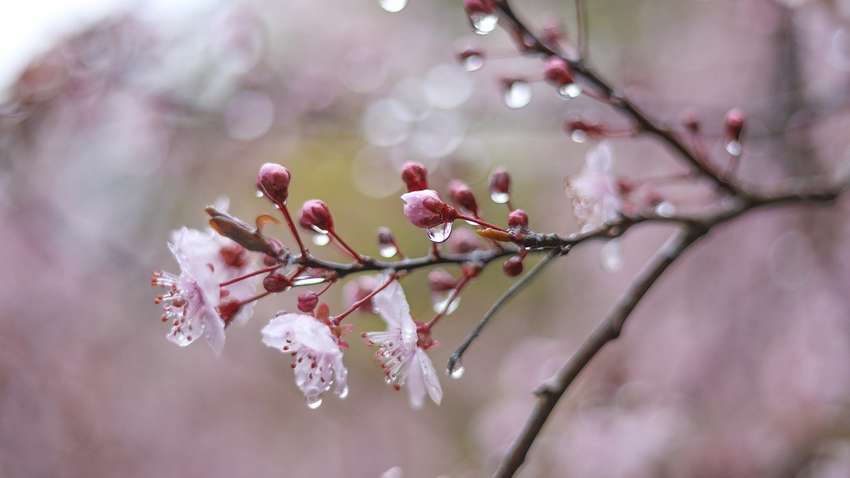 Пройдет холодный атмосферный фронт: какой будет погода в Украине 13 мая Пройдет холодный атмосферный фронт: какой будет погода в Украине 13 мая