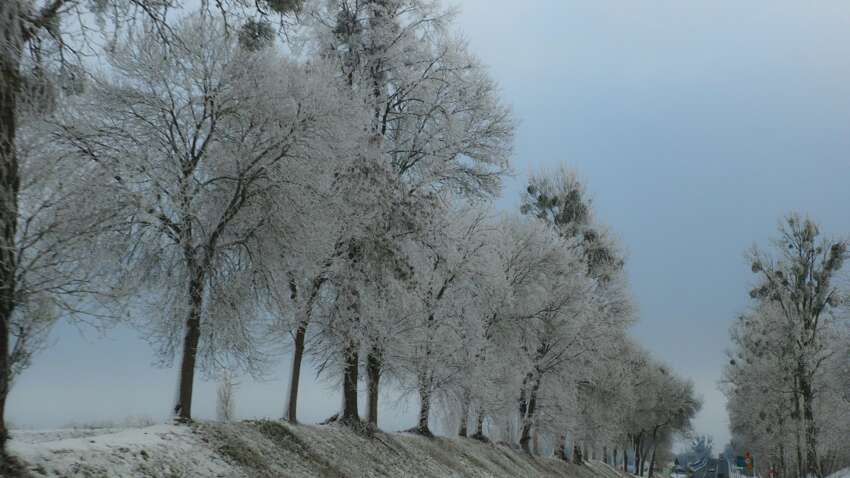 Какой церковный праздник 12 января: главная традиция и примета дня