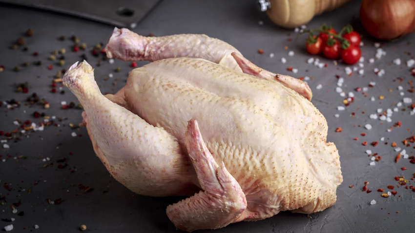 Яку частину курки ні в якому разі не можна їсти Яку частину курки ні в якому разі не можна їсти