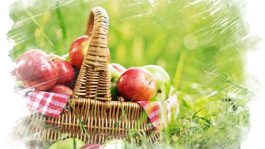 Якою погодою порадує українців серпень: синоптик зробив прогноз