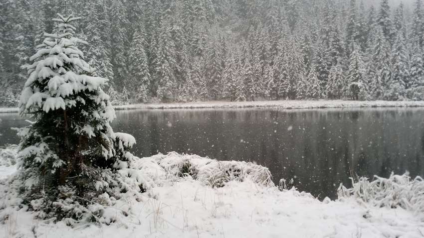 Синоптики попереджають про різке похолодання в Україні 12 травня