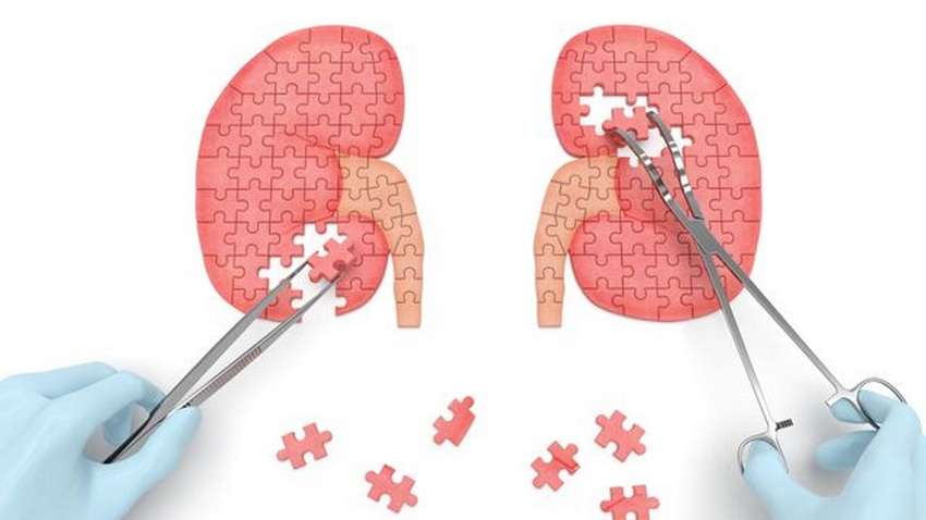 Не игнорируйте: названы первые симптомы болезни почек