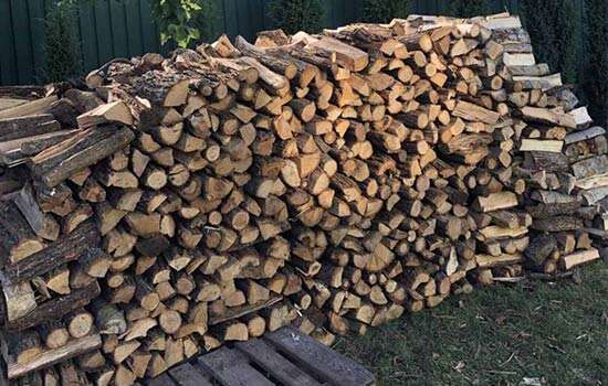Залишись дрова: як їх правильно зберегти, щоб наступного року не палити гниллю