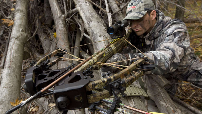В чем заключаются прелести охоты с арбалетом