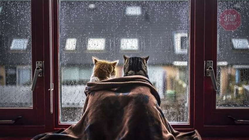 В Украине задержатся дожди и похолодает еще сильнее В Украине задержатся дожди и похолодает еще сильнее