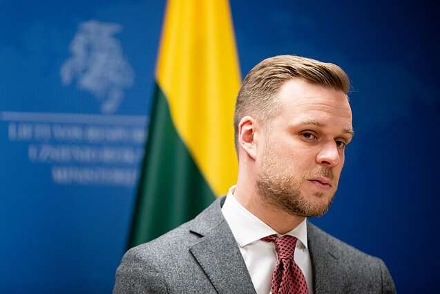 В Литве рассказали, чего катастрофически не хватает Украине для победы над Россией