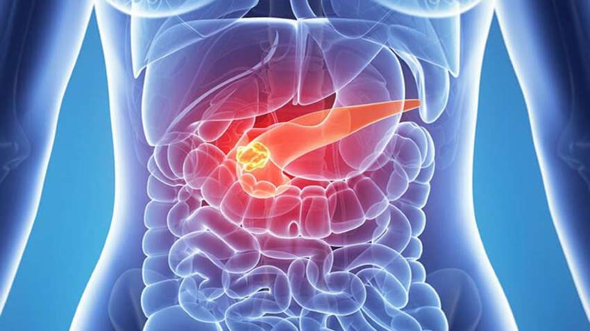 Названы два главных врага поджелудочной железы
