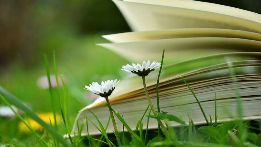 Не за высокие оценки: как устроен рейтинг Goodreads и какие 5 книг стали главными хитами июля