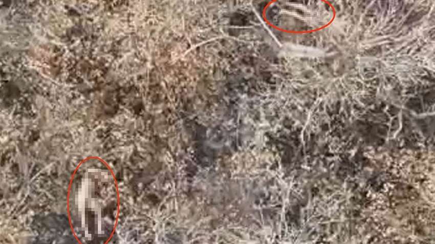 Окупанти розстріляли військовополонених: де загинули бійці Окупанти розстріляли військовополонених: де загинули бійці