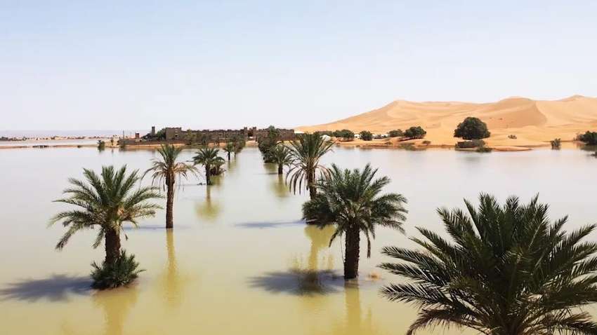 Катастрофа в пустыне: Сахару затопило после рекордных осадков