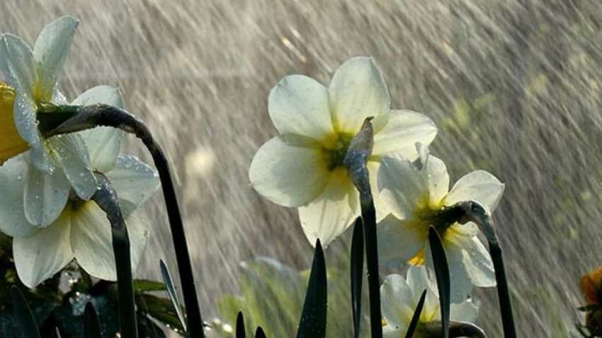 В Украину надвигается атмосферный фронт, возможны дожди и снег – прогноз синоптиков 