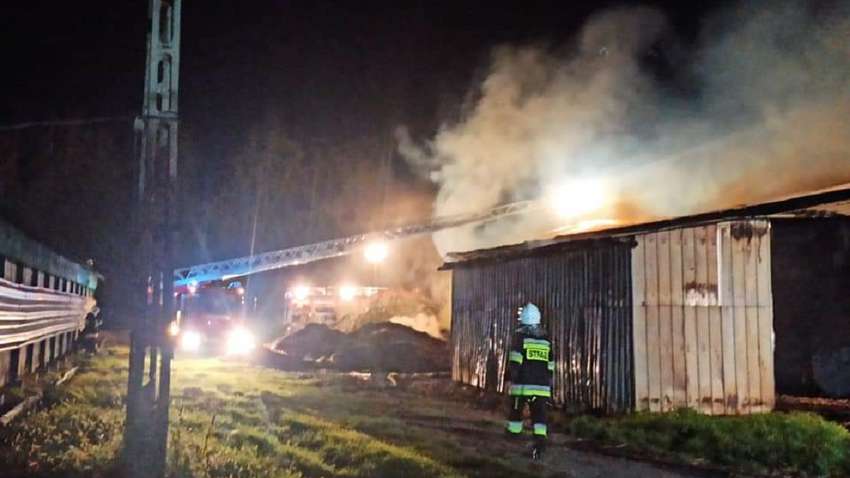 Пожежа на птахофермі: у Польщі затримали українців Пожежа на птахофермі: у Польщі затримали українців